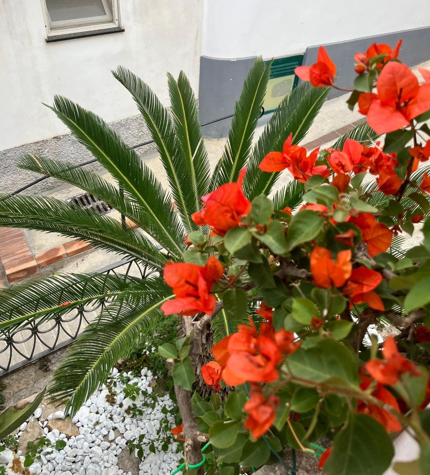 Alle Stelle B&B Anacapri  Exterior foto