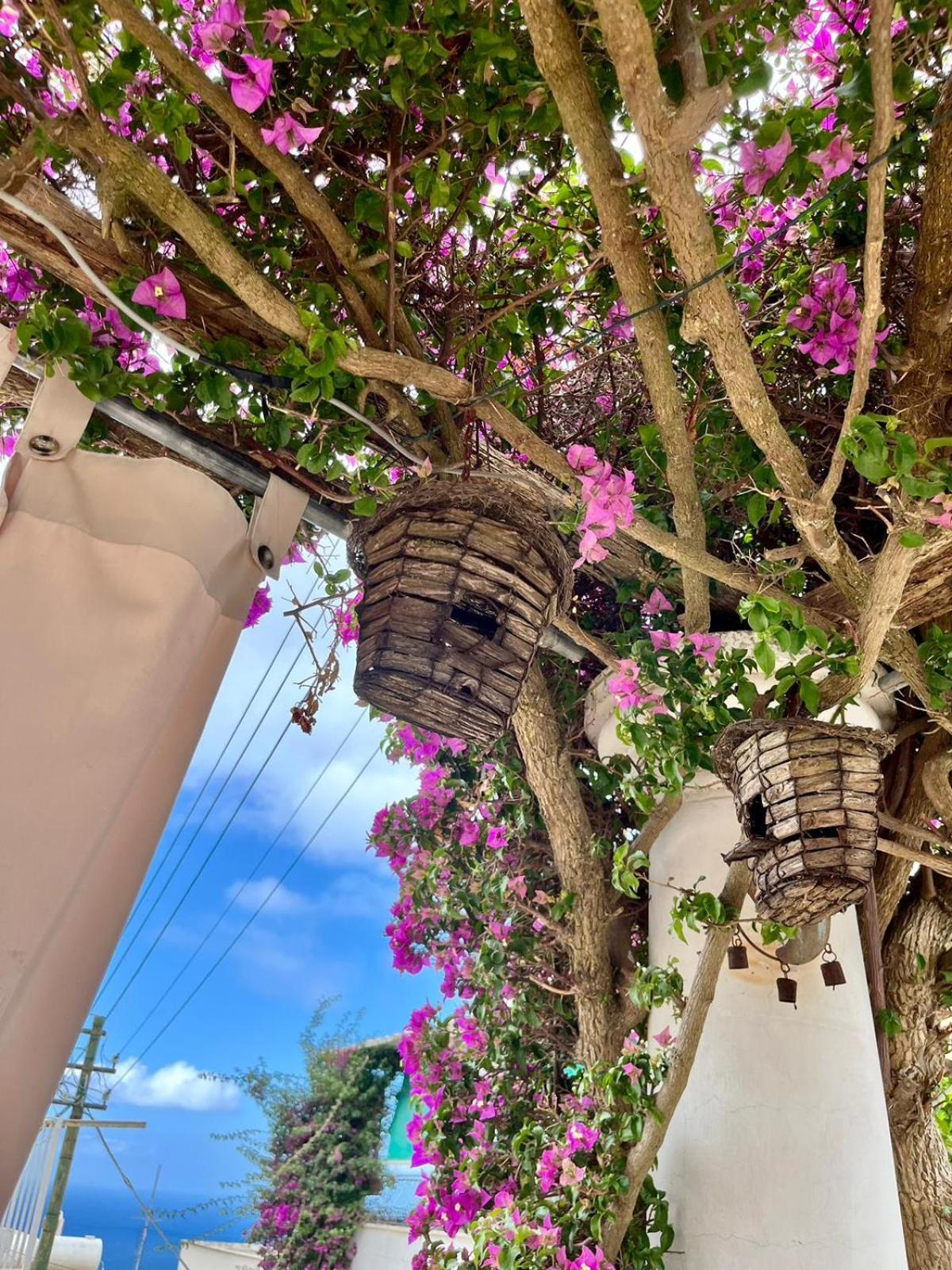 Alle Stelle B&B Anacapri  Exterior foto